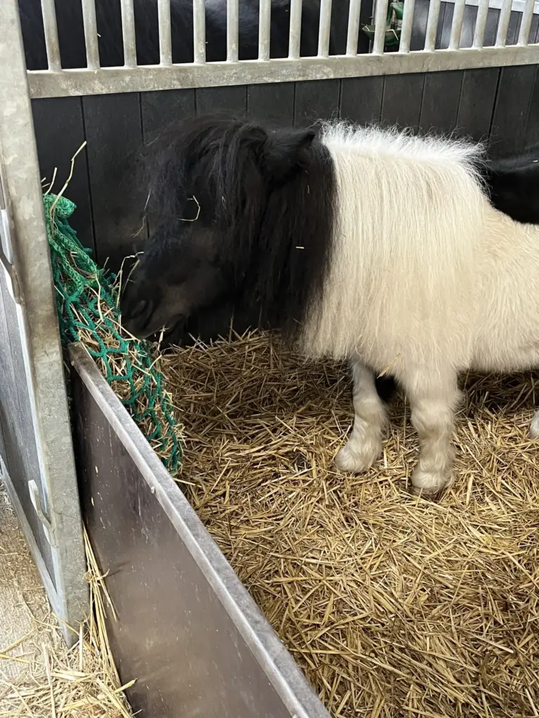 Slowfeeder net maas 45 mm