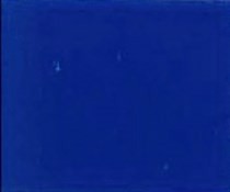 Bisonyl afdekzeil blauw