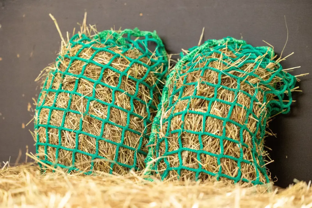 Slowfeeder net groen