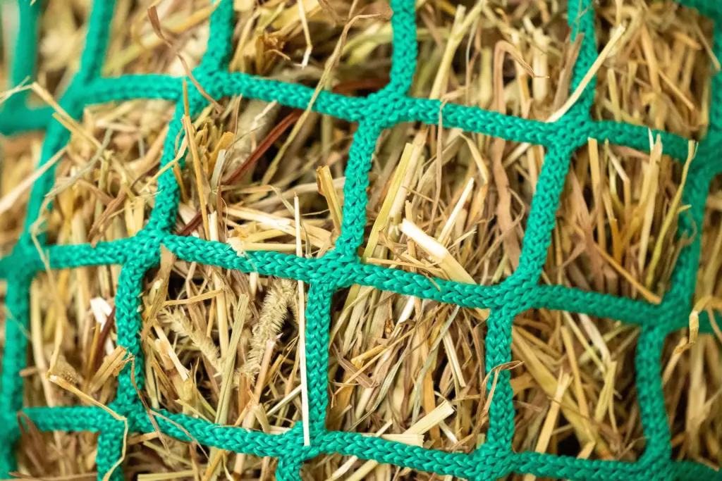 Slowfeeder net groen