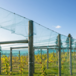 Blauw tuinnet standaard maten maas 28 mm