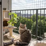 Kattennet lichte uitvoering