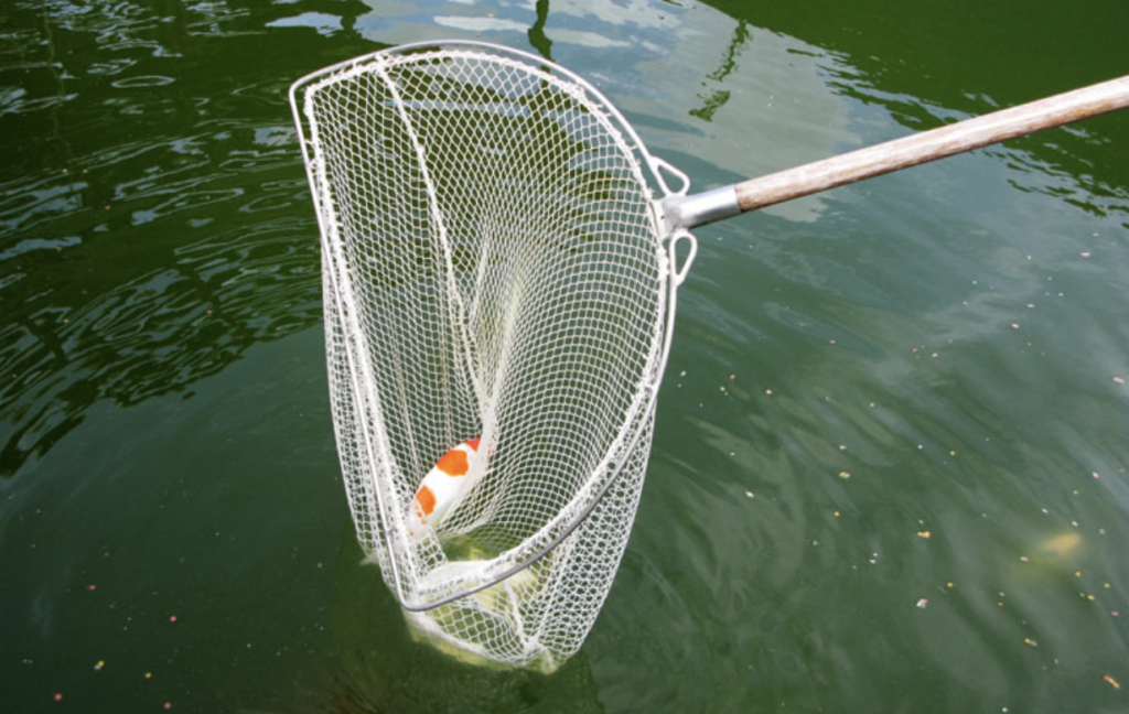 Schepnet met RVS frame