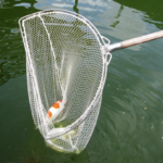 Schepnet met RVS frame