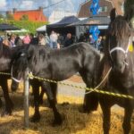 Tijgertouw per meter