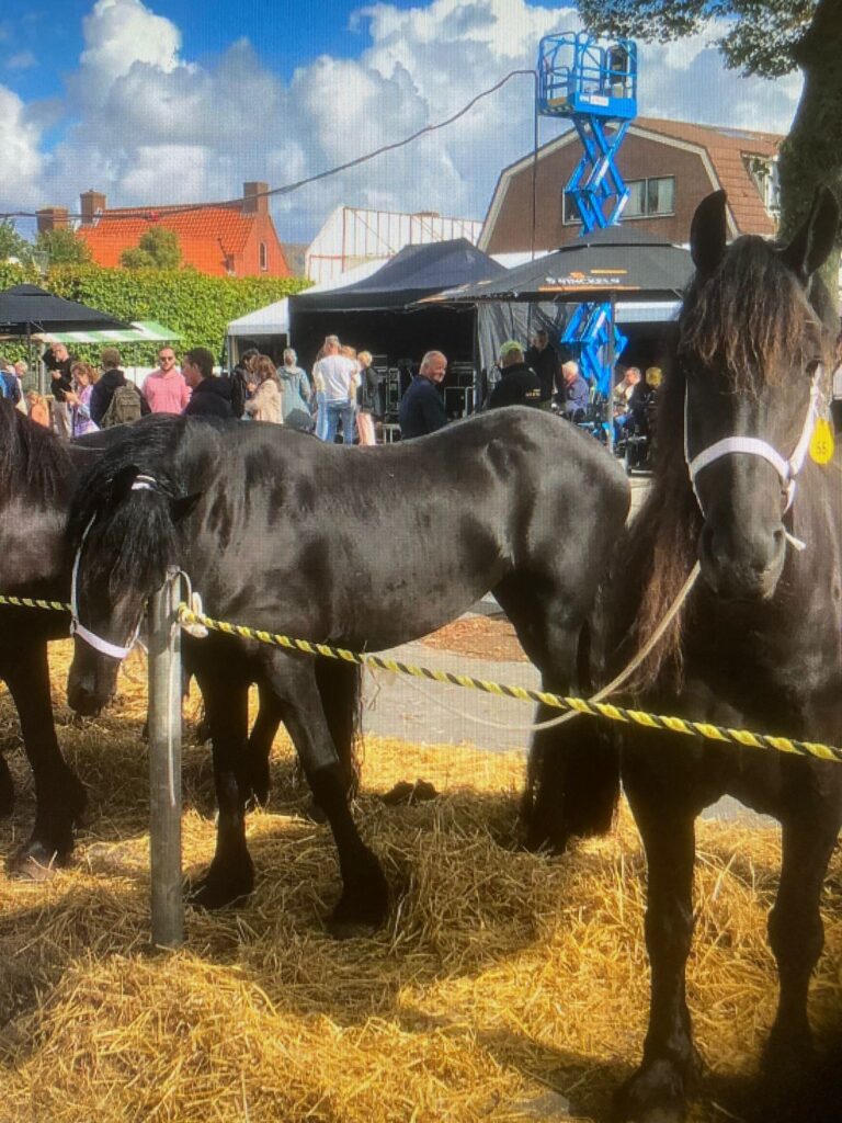Tijgertouw per meter