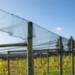 Zwart tuinnet standaard maten maas 22 mm