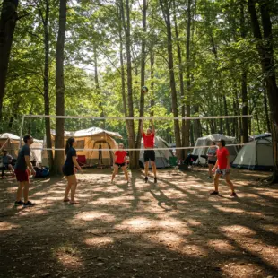 Volleybalnet recreatief gebruik met stokken